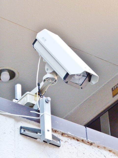 �~���N���C��