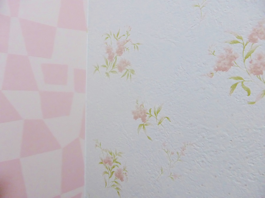 �~���N���C��